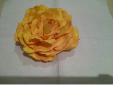 20150616 015341.jpg