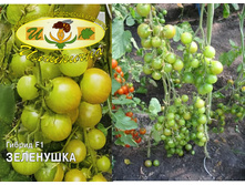 ��������� (�����) 15 ���..jpg