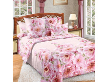 �������-2