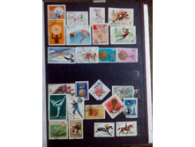 IMG 20150630 200351.jpg