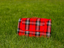 0089 - Red 130�150.JPG