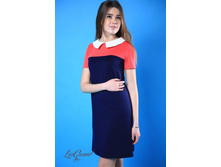 ������ �-1029-5