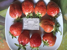 20150618 134701 Richtone(HDR).jpg