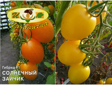 ����� �����������. ��������� ������. 30 ���..jpg