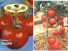 ����� 20 ���.�����������