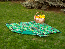 Sleepy Picnic Green.JPG