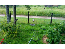 IMG 20150625 160910.jpg