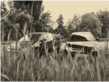 P 20150531 1915391 HDR.jpg