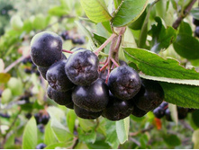 ������ ������������, 100�����, 21 ���.jpg