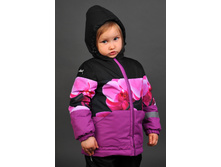 ������ 3