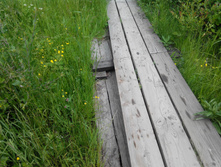 IMG 20150613 135157.jpg