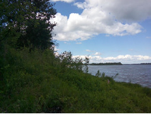 IMG 20150606 130705.jpg