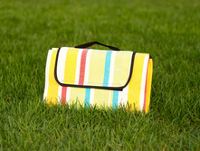 0010 - Yellow 170�150.JPG