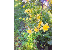 ��������� ������ ��������, 100-150 �.