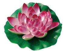 ������ ������� "�����*���" ����� ���� 40 ��� ������ 74�