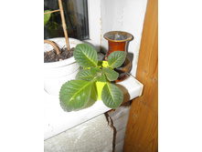 ��������� �������