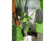 ������ � �����