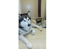 IMG 20150210 172406.jpg