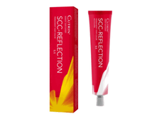 ����-������ REFLECTION