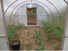 ������ ������� ������ ����.jpg