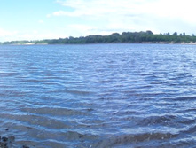 IMG 20150606 130849.jpg