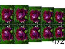 472