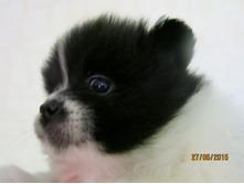 ������ 015.JPG