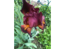 ����������� 015.jpg