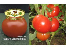 �������� �������� 15 ���..jpg