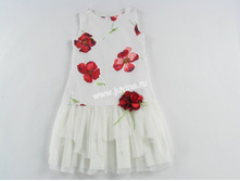 IMG 0713 (����������).jpg