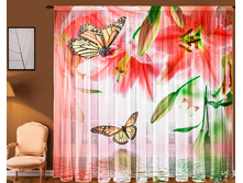 �������� �����.jpg