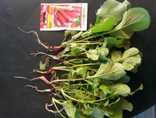 20150610 065837.jpg