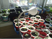 �������� 29.03.2015 045.jpg