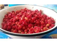 IMG 20150616 134441.jpg