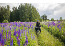 � ��� �����