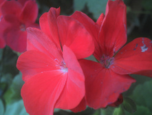 IMG 20150623 155853 055.jpg