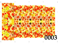 0003