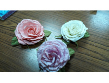 IMG 20150609 192011.jpg