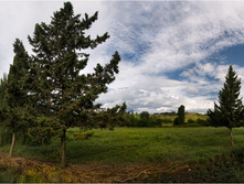 DSC 0112.jpg
