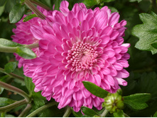 P1020830.JPG �� ������������