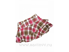 ���� 170 �..jpeg