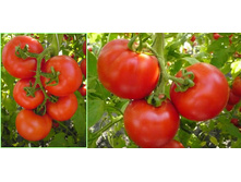 ������ 30 ���..jpg