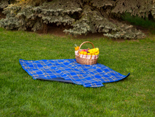 Sleepy Picnic Blue.JPG