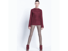 CHANTE-FW13C �������� �������.GIF