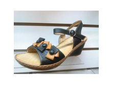 FEBINI ���� 2015