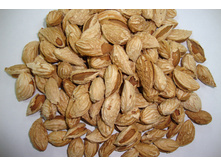 ������� ���������� �����