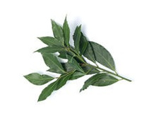 ������� ����� ���