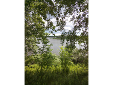 IMG 20150606 110534.jpg