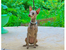 �� �������, 6 ���