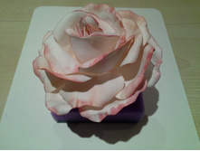 20150612 022755.jpg